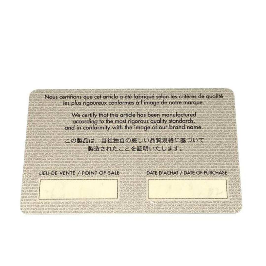 Dior Trotter Boston Bag 9